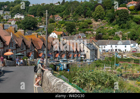 Beer, Devon, England, UK. Juli 2019. Zuteilungen Anbau von Obst und Gemüse auf den Klippen über dem Badeort von Bier. Stockfoto
