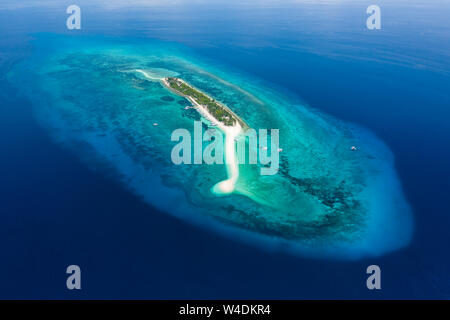 Antenne drone Blick auf eine schöne, kleine tropische Insel von Korallenriff umgeben (kalanggaman Insel Cebu) Stockfoto