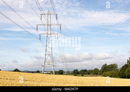 Northamptonshire, Großbritannien. Eine Linie der Hochspannung Strommasten (Typ L3 c), Zurückfliehend in die Ferne, Kabel oben reife Weizenfelder tragen. Stockfoto