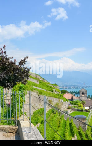 Vertikale Foto von grünen Weinbergen auf den Hügeln von Genfer See, Schweiz. Weinregion Lavaux, Dorf St. Saphorin im Hintergrund. Sommer Saison. Schweizer Landschaften. Touristische Attraktionen. Stockfoto