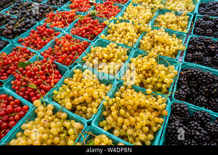 Pints rote und weiße Johannisbeeren mit anderen Beeren im Verkauf bei einem lokalen Greenmarket im New Yorker Stadtteil Chelsea am Samstag, 20. Juli 2019. (© Richard B. Levine) Stockfoto