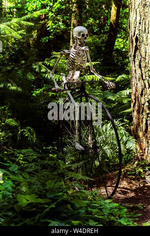 Ein Skelett reiten auf einem Penny Farthing Fahrrad durch den Wald. Stockfoto