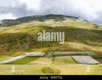 Ungewöhnlicher Blick mit Grün und Weiß. Rocky Mountain und Felder im Tal, Castelluccio Di Norcia in Umbrien, Italien. Touristische Destination. Stockfoto