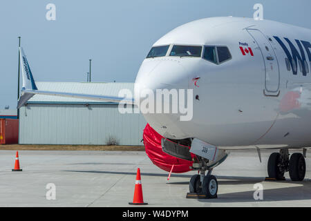 Geerdete WestJet 737 MAX. 8 setzt sich auf die Rampe bei John C. Munro Hamilton International Airport (YHM) Stockfoto