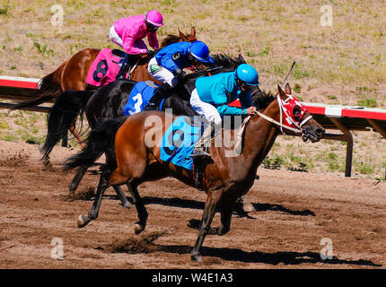 Rennpferde und farbenfroh gekleideten Jockeys in Richtung Ziellinie - Version 1 Stockfoto