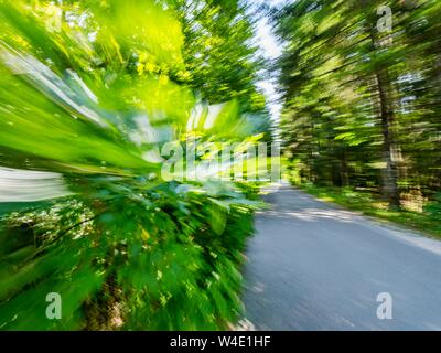 Grünen Wald landschaft Beschleunigung auf der Straße Stockfoto