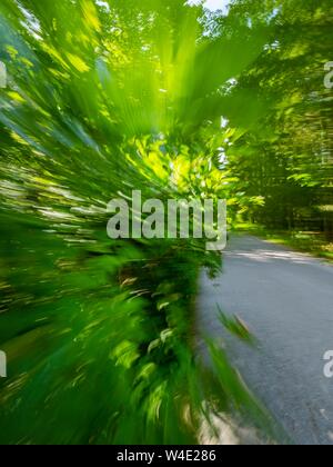 Grünen Wald landschaft Beschleunigung auf der Straße Stockfoto