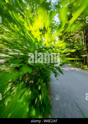 Grünen Wald landschaft Beschleunigung auf der Straße Stockfoto