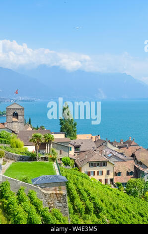 Schönen St. Saphorin Dorf im Lavaux Wein Region, Schweiz. Grüne Weinberge an den Hängen von herrlichen Genfer See. Schweiz Sommer. Touristische Orte. Stockfoto