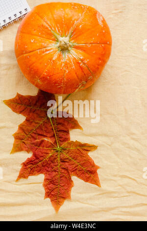 Teil geöffnet Notebook mit Federn, orange Kürbis, Rot Gelb Herbst Ahorn Blätter auf Stoff Hintergrund der Ansicht von oben flach. oncept der Studie, die auf der Registerkarte Stockfoto