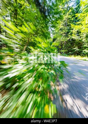 Grünen Wald landschaft Beschleunigung auf der Straße Stockfoto