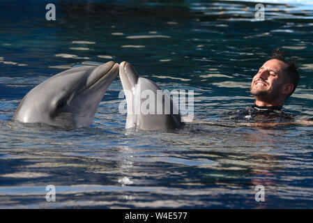 Madrid, Spanien. 22. Juli, 2019. Zwei gemeinsame Tümmler sind mit ihren Keeper dargestellt in einer Show im Zoo Madrid und in einem Aquarium, wo hohe Temperaturen bis 39° Grad Celsius während der Nachmittag Stunden erreicht. Die zweite Hitzewelle des Sommers in Spanien weiter. Der Spanischen Wetteragentur AEMET sagte, dass dreißig sieben Provinzen mit roten oder orangen Alarm in den nächsten Tagen, da sehr hohe Temperaturen eine Gefahr für das Leben darstellen könnten. Quelle: John milner/SOPA Images/ZUMA Draht/Alamy leben Nachrichten Stockfoto