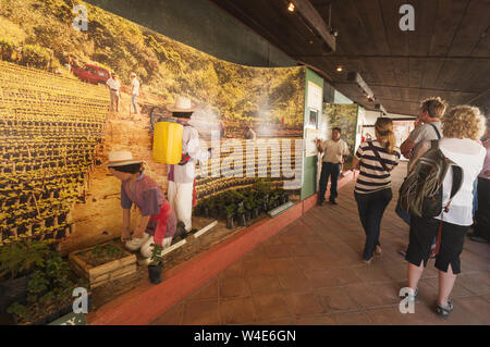 Guatemala, Antigua, Jocotenango, Museum für Kaffee, Innenraum mit Besucher Stockfoto