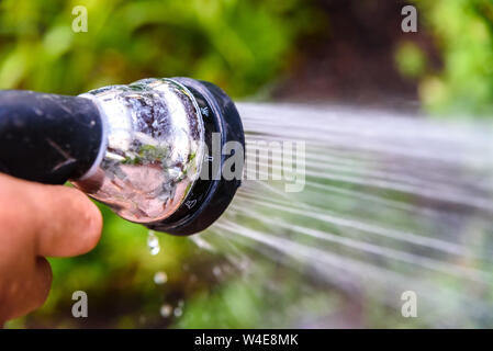 Ein Mann seinen Garten bewässert mit einem Druckschlauch sprühen Wasser auf die Pflanzen. Stockfoto