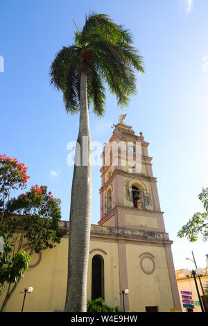 Camagüey, Kuba - Palm Tree vor der Kathedrale Kirche der Jungfrau von Candelaria Stockfoto