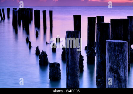 Old Naples Pier Pilings Silhouette gegen Sonnenuntergang in Naples, Florida Stockfoto