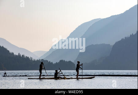 Stand-up Paddleboarding auf Upper Campbell Lake am Strathcona Park Lodge Strathcona Provincial Park, in der Nähe von Campbell River, Vancouver Island, Britisch Stockfoto