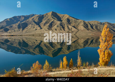 Alpen 2 Ocean Cycle Trail im Herbst, Lake Benmore und Benmore, Waitaki Valley, North Otago, Südinsel, Neuseeland Stockfoto