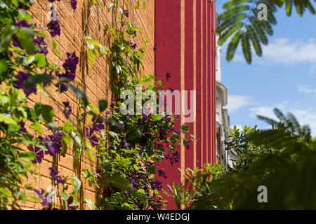 Lineare pocket Park im Greenwood Theater von British Fashion Designer Dame Zandra Rhodes und Garten Designer TV-Moderatorin Joe Swift Stockfoto