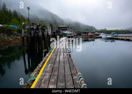 Sonnenaufgang bei Westview Marina in Tahsis, in der Nähe der Gold River, Vancouver Island, British Columbia, Kanada Stockfoto