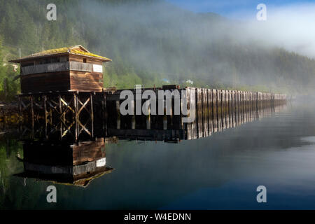 Sonnenaufgang bei Westview Marina in Tahsis, in der Nähe der Gold River, Vancouver Island, British Columbia, Kanada Stockfoto