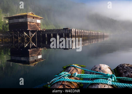 Sonnenaufgang bei Westview Marina in Tahsis, in der Nähe der Gold River, Vancouver Island, British Columbia, Kanada Stockfoto