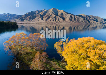 Herbst, Matrosen Schneiden, Lake Benmore und Benmore, Waitaki Valley, North Otago, Südinsel, Neuseeland - drone Antenne Stockfoto