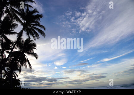 Kokospalmen, Wolken und Himmel in der Morgendämmerung in tropischen El Salvador. Stockfoto
