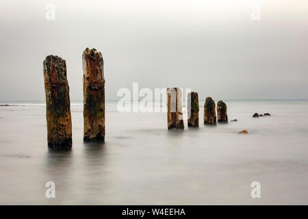 Alte hölzerne Pier pilings (lange Belichtung) am Jordan - in der Nähe von Sooke, Vancouver Island, British Columbia, Kanada Stockfoto