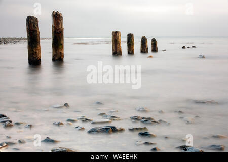 Alte hölzerne Pier pilings (lange Belichtung) am Jordan - in der Nähe von Sooke, Vancouver Island, British Columbia, Kanada Stockfoto