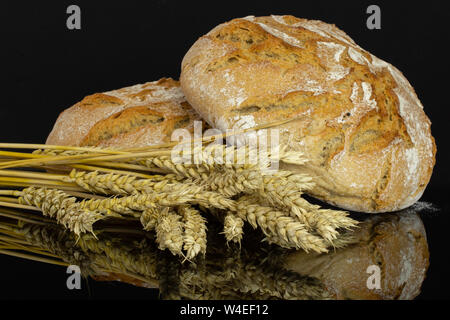 Gruppe von zwei ganz, frisch gebackene Roggen Weizen Brot Brote mit goldenen Weizenähren auf schwarzem Glas isoliert Stockfoto