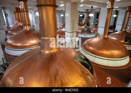 Getreide Herd (Kupfer fermenter Tanks) in Coors Brauerei - Golden, Colorado, USA Stockfoto