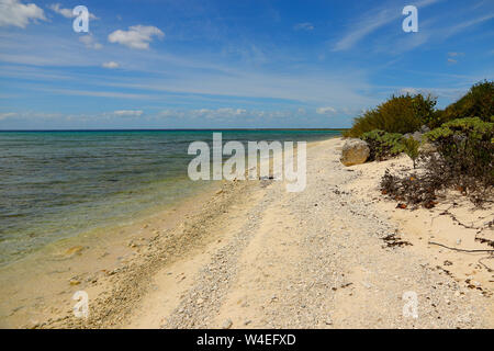 Strand an der Tauchbasis Maria la Gorda im Südwesten Kuba Stockfoto