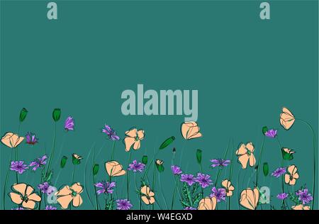 Horizontale Grenze mit Feldblumen isoliert auf Weiss. Vector Illustration. Sommer Blumen Design Stock Vektor