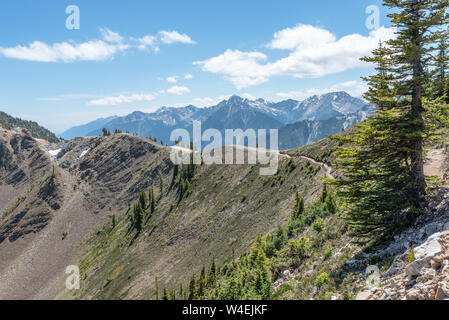 Terminator Ridge Mountain Top Wanderweg im Golden, British Columbia, Kanada Stockfoto