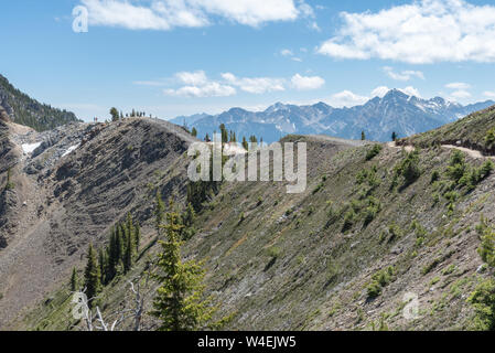 Terminator Ridge Mountain Top Wanderweg im Golden, British Columbia, Kanada Stockfoto