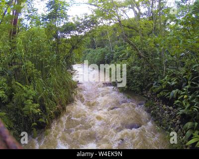 Dschungel Fluß oder Strom Hochwasser im Nationalpark in Honduras in der Nähe von See, den Lago de Yojoa, White Water Rapids Stockfoto