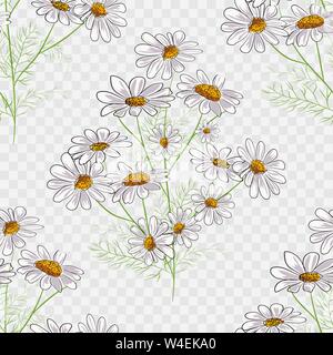 Die nahtlose Vektor florale Muster mit Sommer gelb Kräuter und Kamille Kamillenblüten Stock Vektor