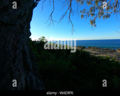 Blick auf den Mount Coolum, von Mooloolaba Beach mit Baum verdeckt. Stockfoto