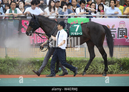 Aichi, Japan. 21. Juli, 2019. Primo Szene Pferderennen: Primo Szene ist durch das Fahrerlager vor der Toyota Sho Chukyo Kinen in Chukyo Racecourse in Aichi, Japan führte. Credit: Eiichi Yamane/LBA/Alamy leben Nachrichten Stockfoto