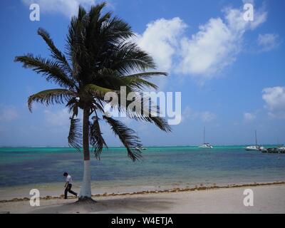 Der Strand auf Ambergris Caye, Beliaze, tropisches Paradies Insel in der Karibik. Stockfoto