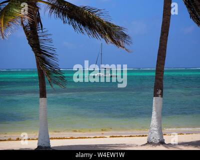 Der Strand auf Ambergris Caye, Beliaze, tropisches Paradies Insel in der Karibik. Stockfoto