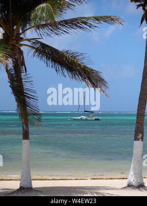 Der Strand auf Ambergris Caye, Beliaze, tropisches Paradies Insel in der Karibik. Stockfoto