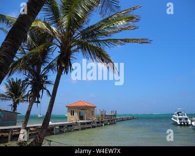 Der Strand auf Ambergris Caye, Beliaze, tropisches Paradies Insel in der Karibik. Stockfoto