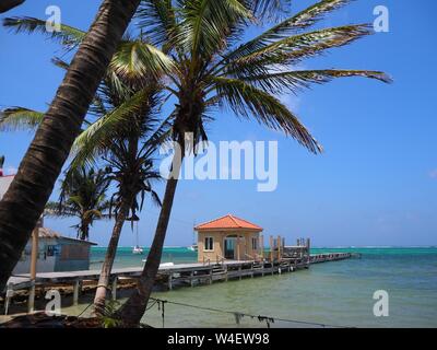 Der Strand auf Ambergris Caye, Beliaze, tropisches Paradies Insel in der Karibik. Stockfoto