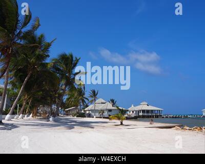 Der Strand auf Ambergris Caye, Beliaze, tropisches Paradies Insel in der Karibik. Stockfoto