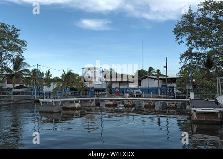 Mole im kleinen Hafen von Pedregal kurz vor der Mündung des Flusses platanal im pazifischen Ozean Panama Stockfoto