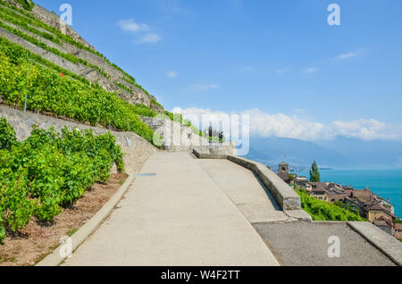 Schönen malerischen Weg entlang terrassierten Weinbergen an den Hängen von den Genfer See, Schweiz. Weinregion Lavaux, die zum UNESCO-Weltkulturerbe zählt. Grüner Weinberg auf einem Hügel. St. Saphorin Dorf im Schweizer Kanton Waadt im Hintergrund. Stockfoto