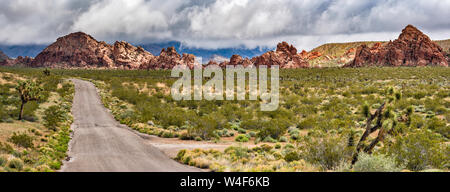 Bitter Ridge, Jurassische Sandsteinfelsen, von der Gold Butte Road, Gold Butte National Monument, Mojave Desert, Nevada, USA Stockfoto