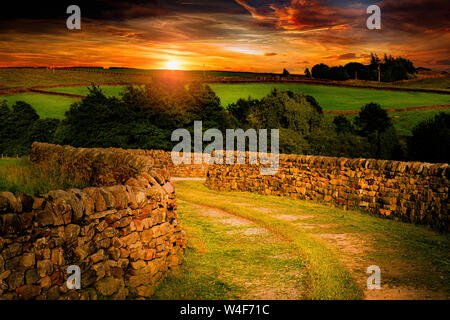 Nidderdale, North Yorkshire, Vereinigtes Königreich Stockfoto